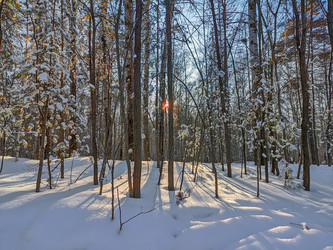 Similar image 22144370