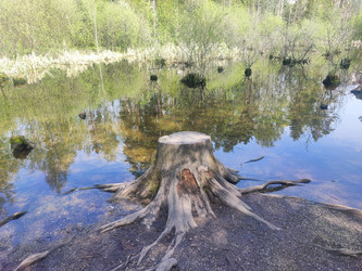 Similar image 22147949