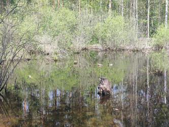 Similar image 22147951