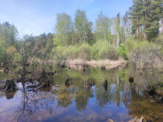 Similar image 22147952