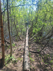 Similar image 22147954