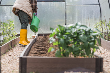 Similar image 22151142