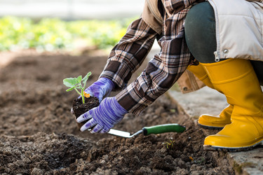 Similar image 22151143