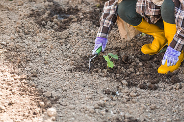 Similar image 22151147