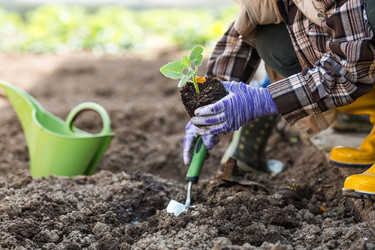 Similar image 22151149