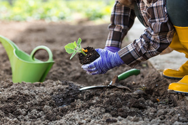 Similar image 22151153