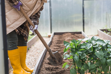 Similar image 22151154