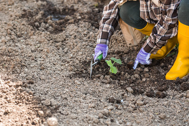 Similar image 22151155