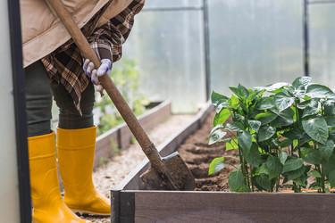 Similar image 22151156