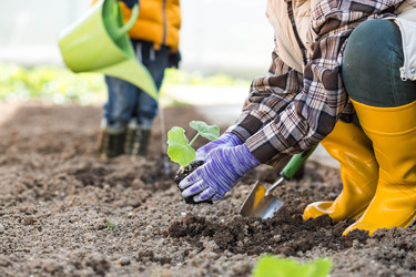 Similar image 22151157