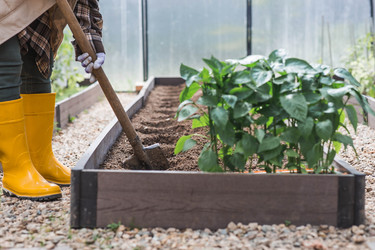 Similar image 22151158