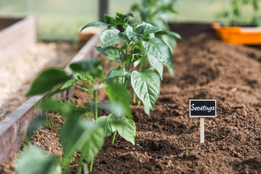 Similar image 22151160