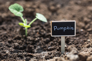 Similar image 22151161