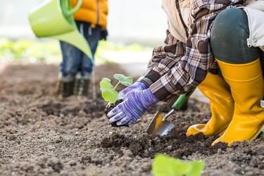 Similar image 22151164