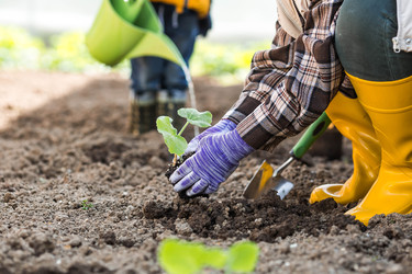 Similar image 22151166