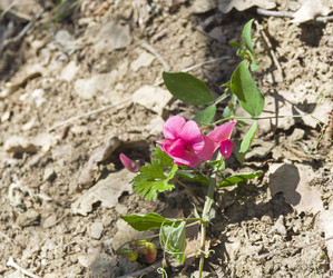 Similar image 22144388