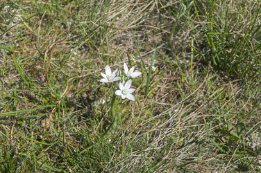 Similar image 22144389