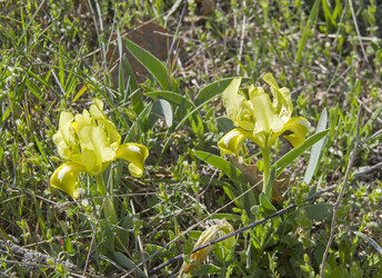 Similar image 22144390