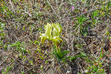 Similar image 22144391