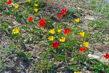 Similar image 22144392