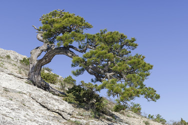 Similar image 22144393