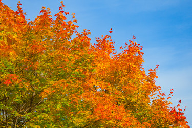 Similar image 22155358