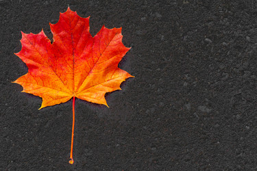 Similar image 22155360