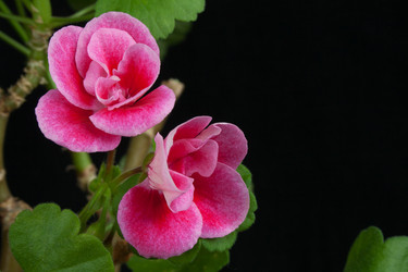 Similar image 22155361