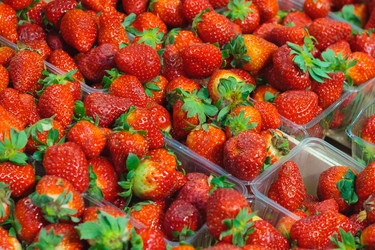 Similar image 22155543