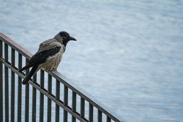 Similar image 22148516