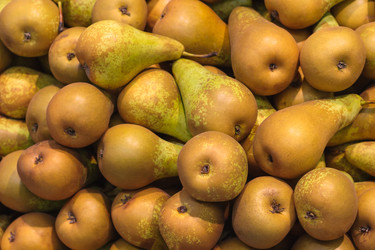 Similar image 22148519