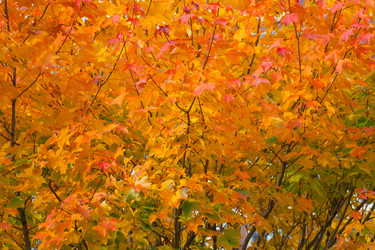 Similar image 22148522