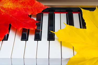 Similar image 22148596