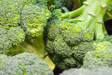 Similar image 22148599