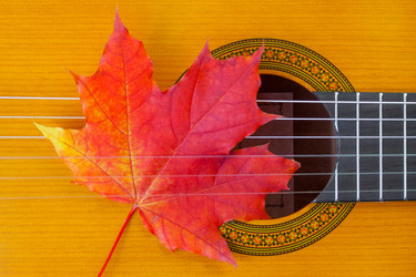 Similar image 22148600