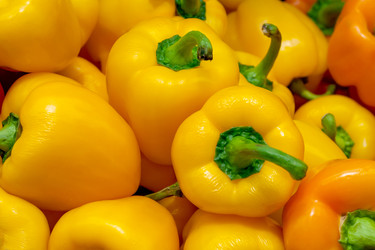 Similar image 22148609