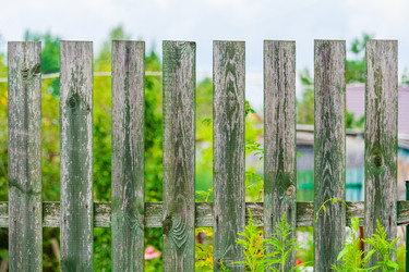 Similar image 22148612