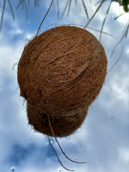 Similar image 22147971