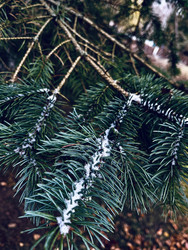 Similar image 22147973