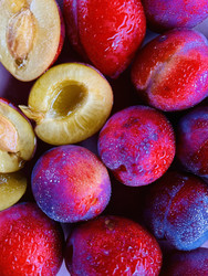 Similar image 22147975