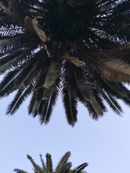 Similar image 22148654