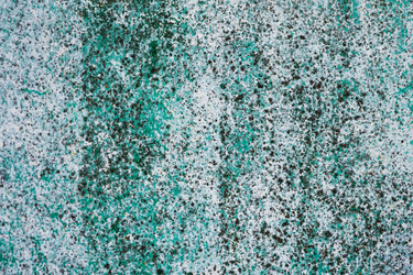 Similar image 22155172