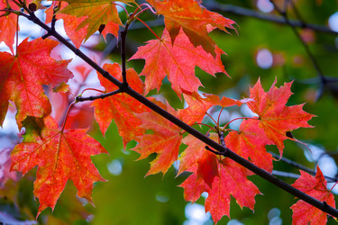 Similar image 22155180