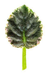 Similar image 22155380