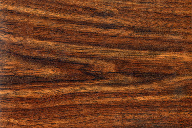 Similar image 22155384