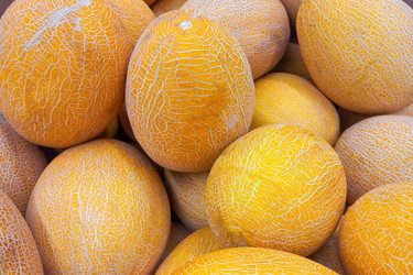 Similar image 22155554