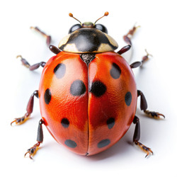 Similar image 22154370