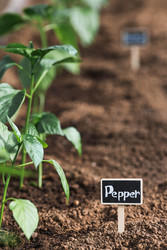 Similar image 22151176