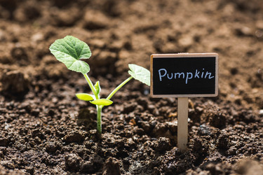 Similar image 22151177