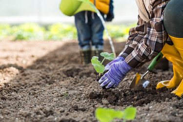 Similar image 22151179